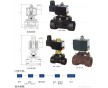 供應(yīng)FCD/RSCS微型塑料電磁閥