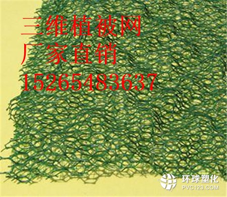 北海三維植被網(wǎng)商家15265483637